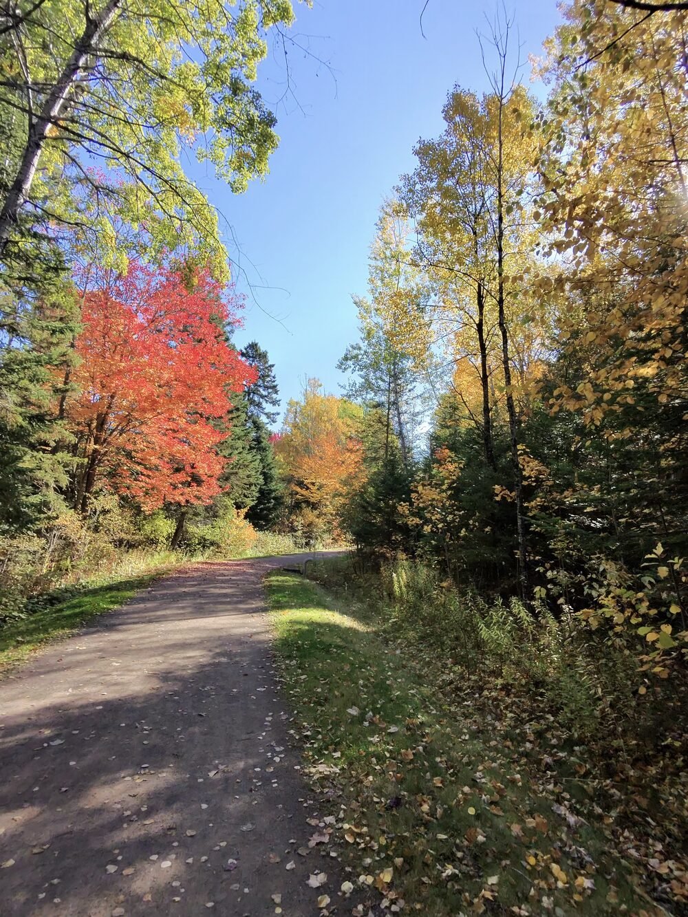 A trail lined with brilliant red maples in autumn