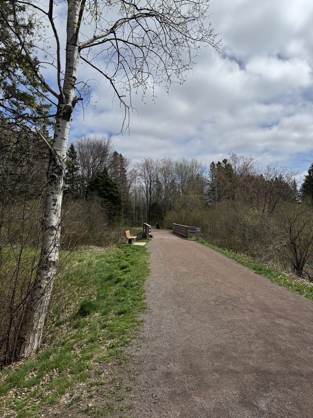 A crushed-stone trail with a bench in fresh spring green