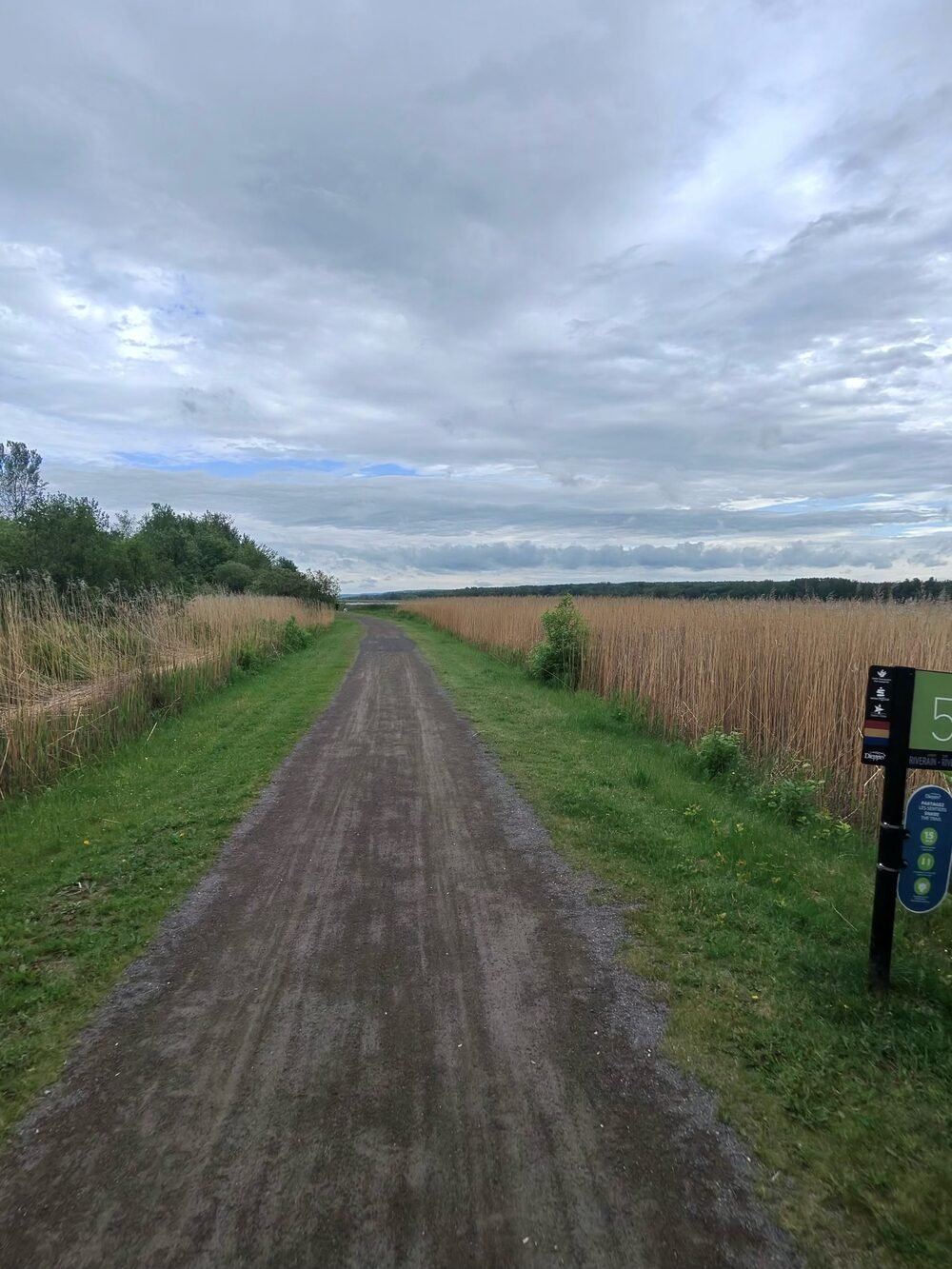 A gravel trail crossing a golden summer field
